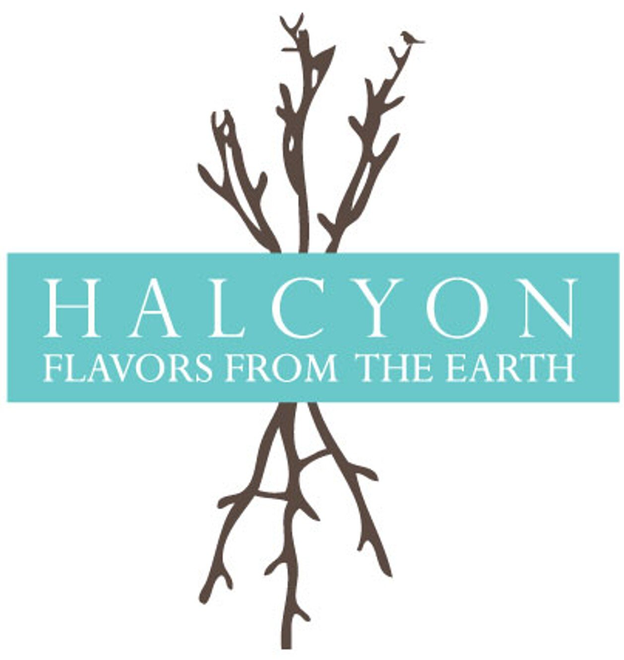 CLT_042820_Halcyon.jpg